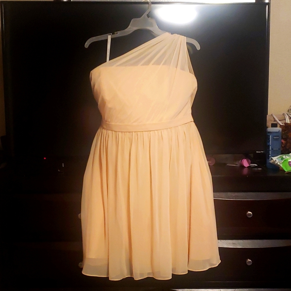 Alfred Angelo Bridesmade Dress, size 20
